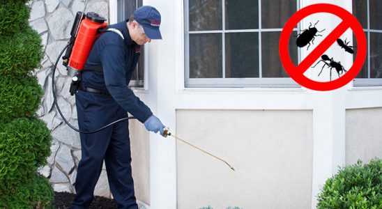 Horasan Böcek ve Haşere İlaçlama böcek ilaçlama ve haşere kontrolü — ilaclama-tr.com